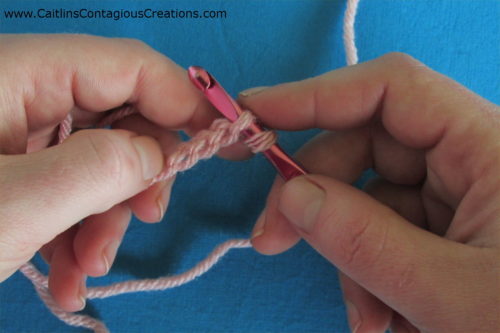 insert hook into a back bump of chain stitch
