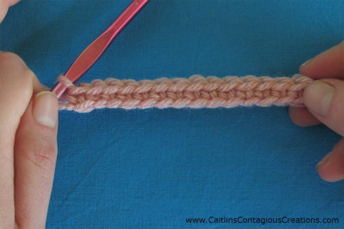 row of single crochet stitches worked into back bumps of chain stitches