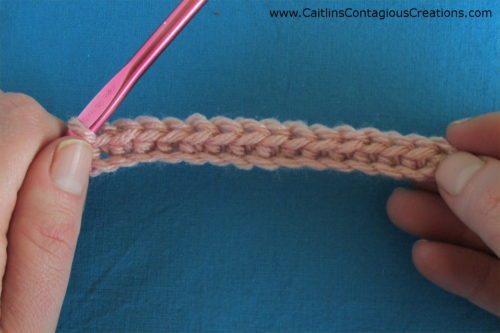 chain stitches with single crochets worked into the top loop only