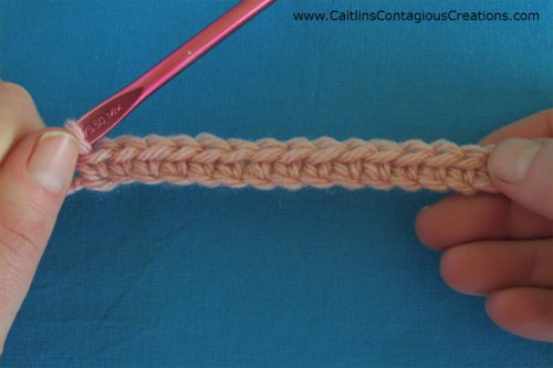 chain stitches with single crochet worked above bottom loop