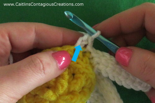 Blue arrow pointing to place to insert hook in previous stitch.