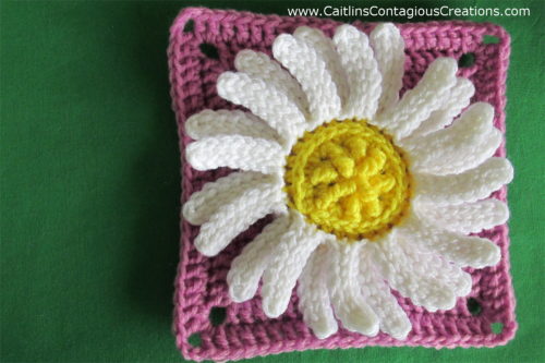 finished daisy square on green background