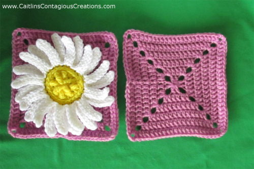 Finished Daisy Square and Matching Size Plain Square side by side