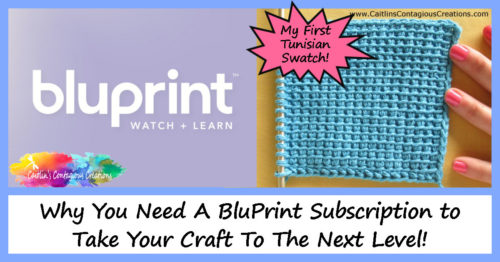 BluPrint Logo and Tunisian Simple Stitch Swatch with text overlay "Why You Need A BluPrint Subscription to Take Your Craft to The Next level