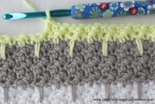2 rows of lemon peel stitch with spike stitch in first row