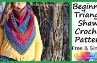 Beginner Triangle Shawl Crochet Pattern